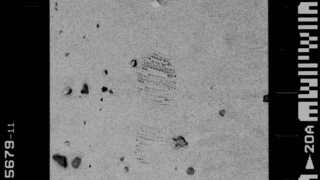 Come trovare pellicole economiche